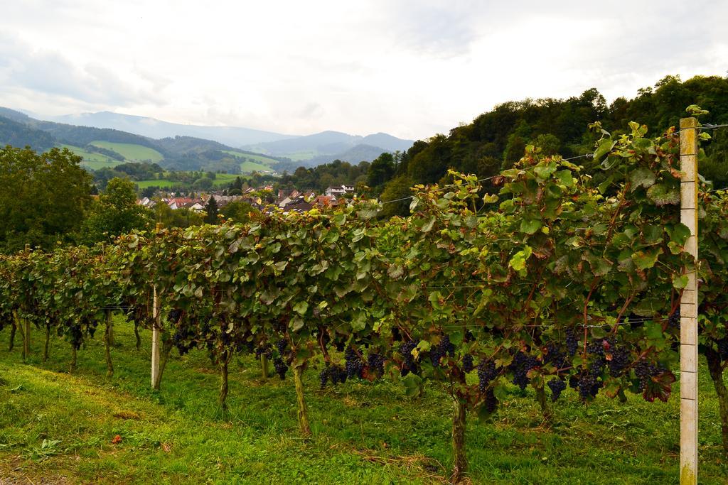 Kuner Weitzel Landgasthof Frohe Einkehr Gbr Merzhausen Luaran gambar